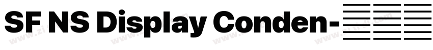 SF NS Display Conden字体转换